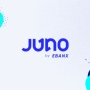 Juno pagamentos: link de pagamento e soluções!